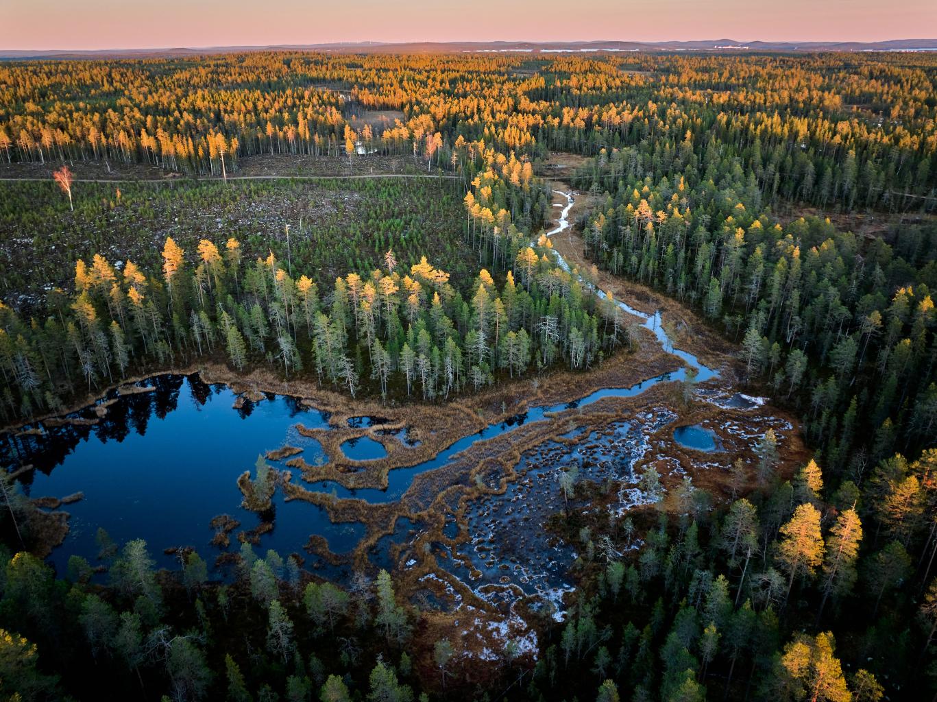 Winter landscape in Lapland