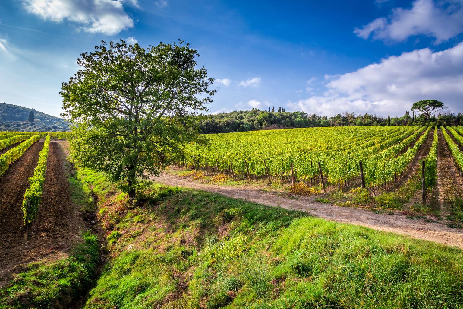 Voyage en Toscane: Itinéraire de 8 Jours d'Aventures