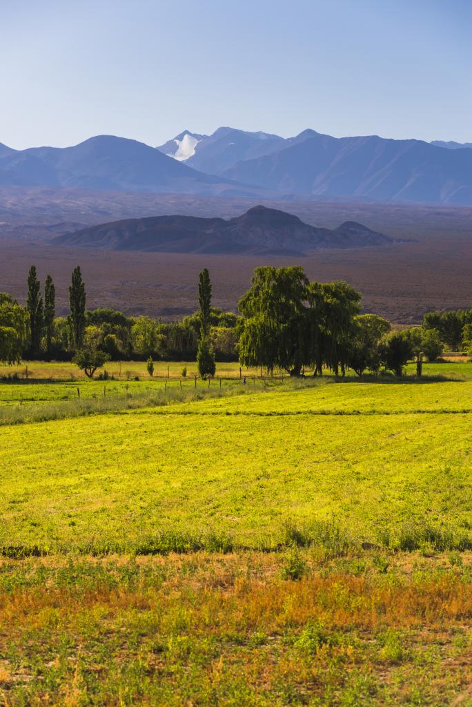 Aventure équestre en Argentine : 12 jours captivants