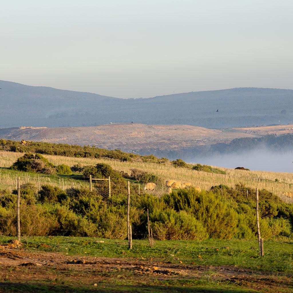 Road Trip in Israel: 7 Days to Explore the Most Beautiful Roads and Unforgettable Landscapes