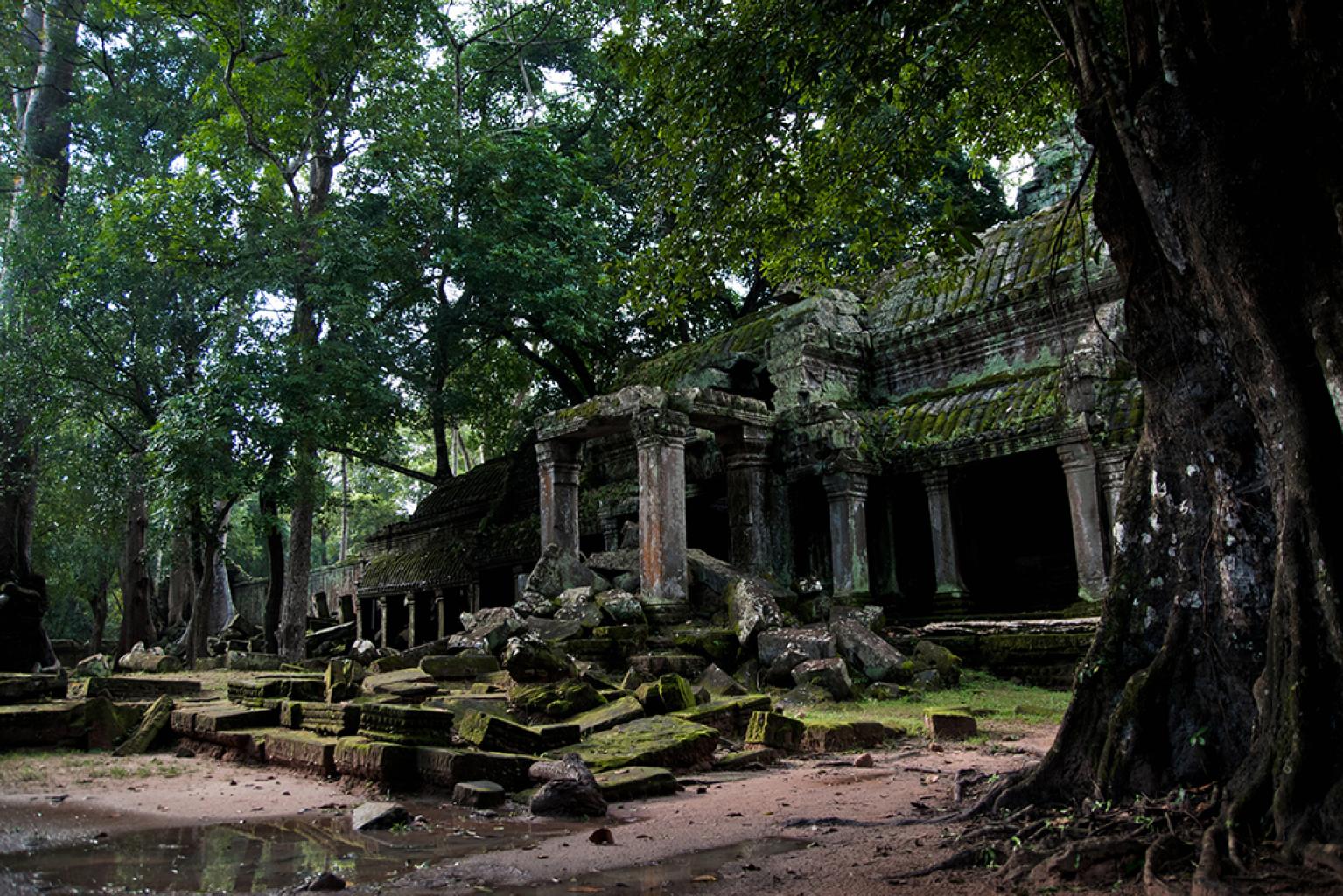 Vista panorâmica de Angkor Wat ao nascer do sol